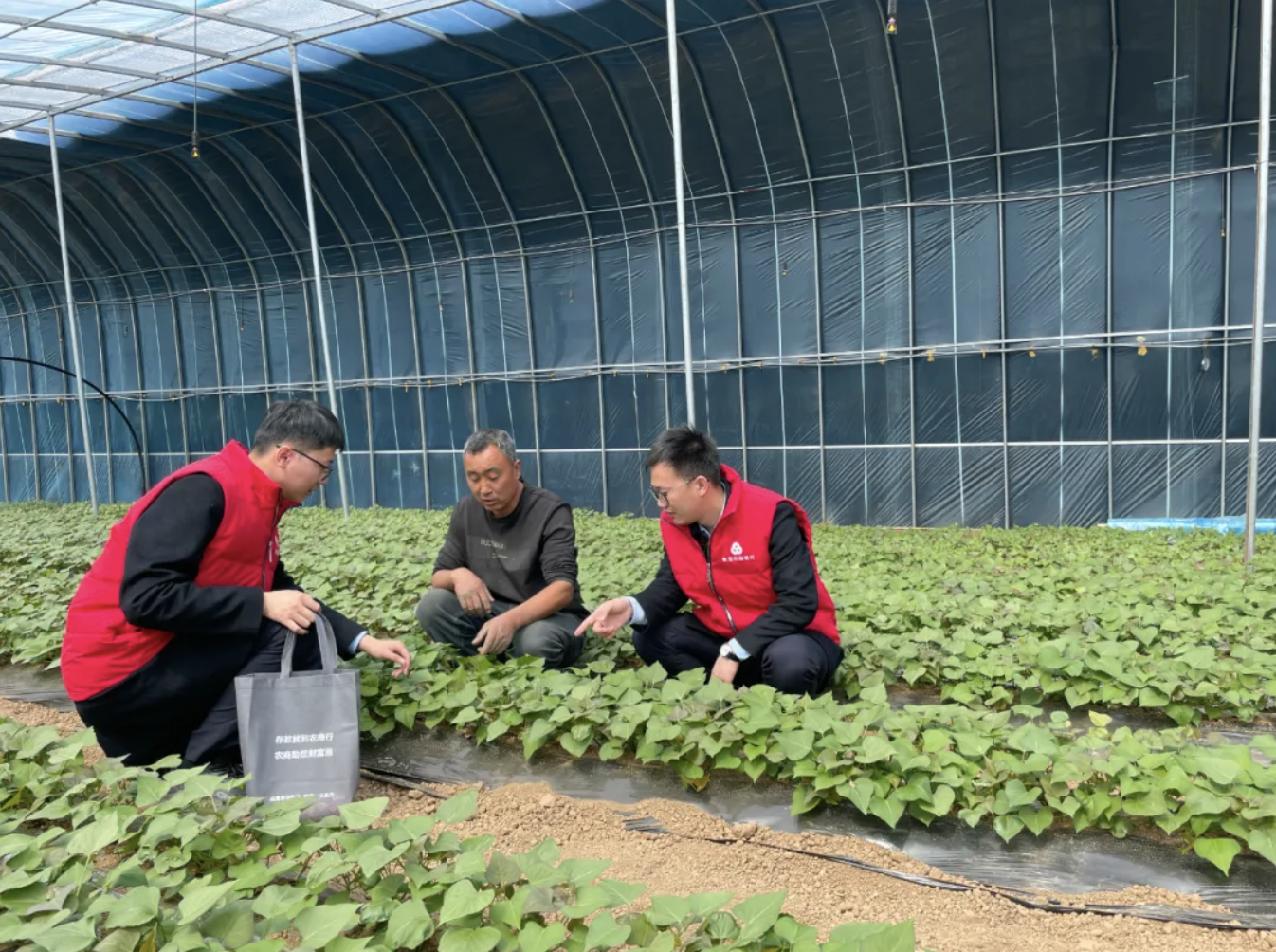 1714115278898314.png 截屏2024-04-26 15.07.12.png