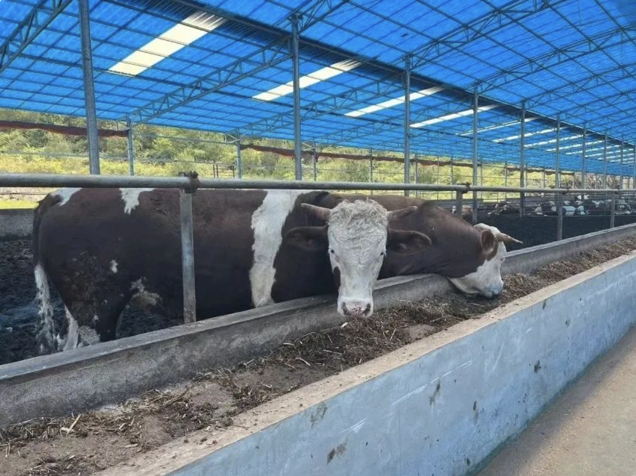 截屏2024-05-30 07.28.43.png