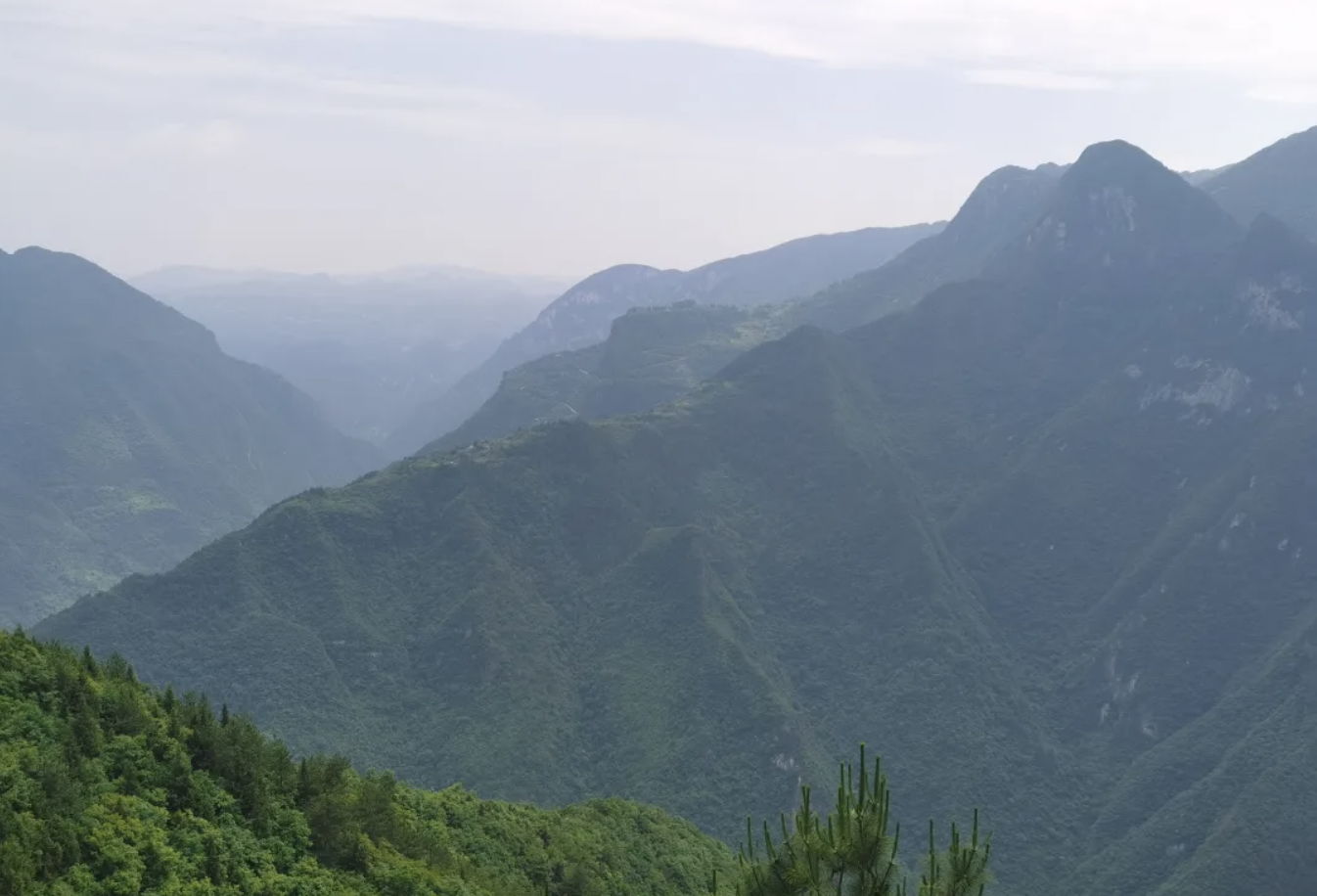 截屏2024-06-15 21.59.37.png