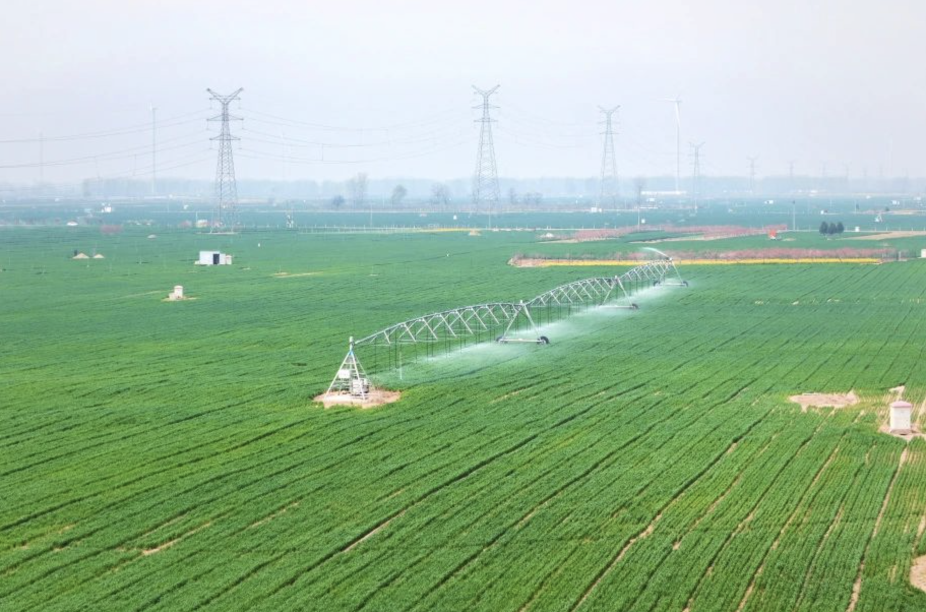 截屏2024-09-25 11.50.33.png