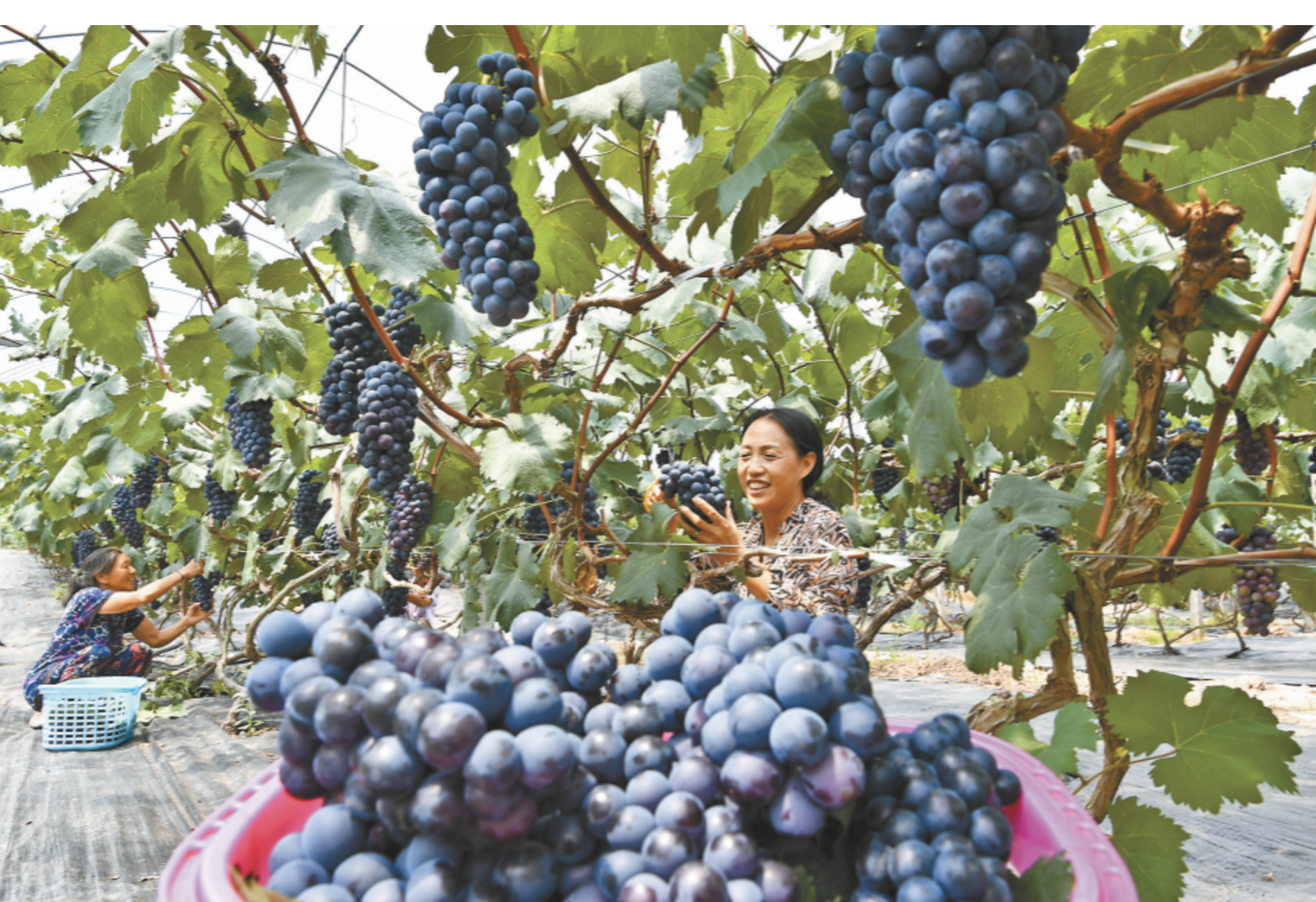 截屏2024-09-25 11.51.03.png