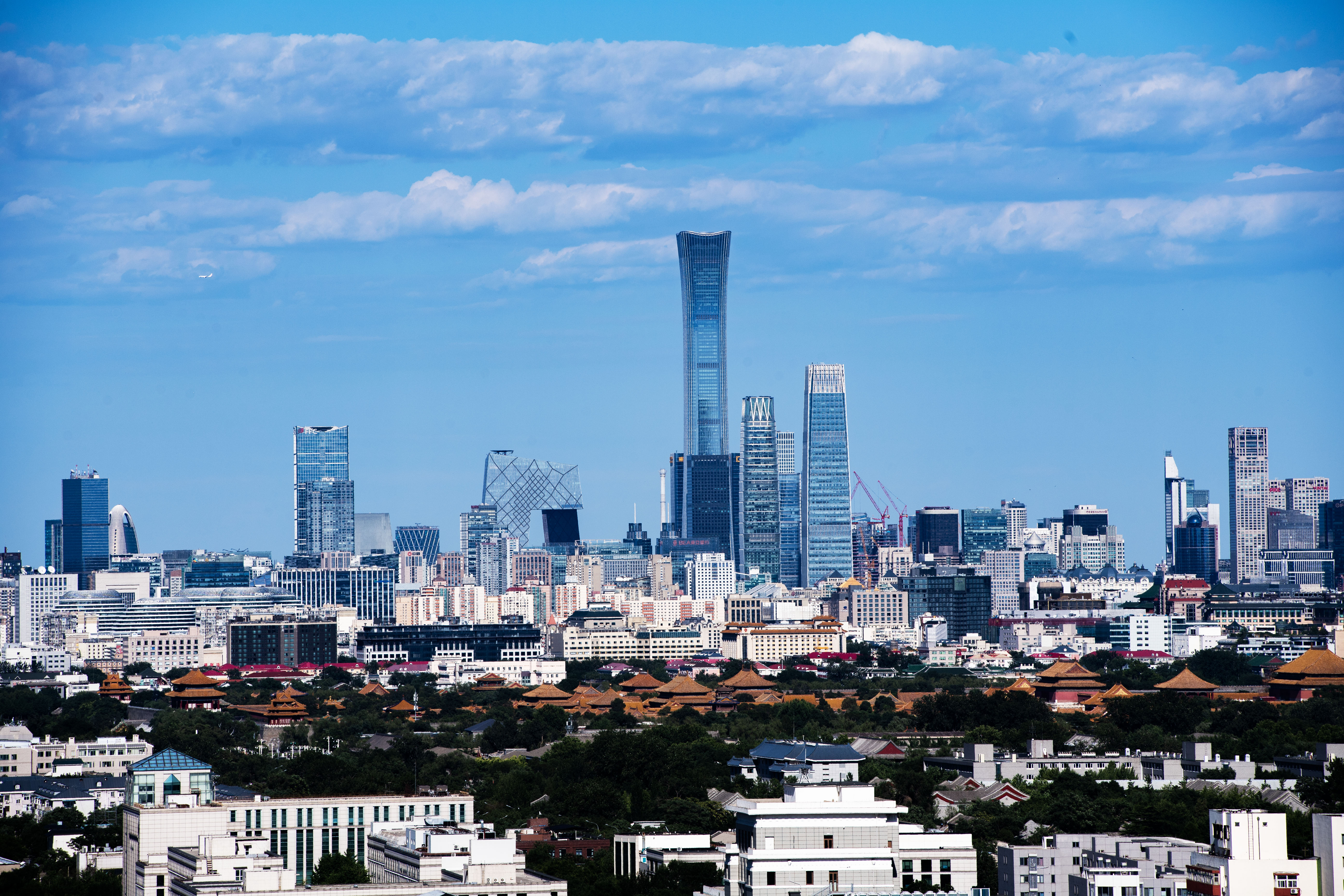 1731371077949563.jpg 3.jpg