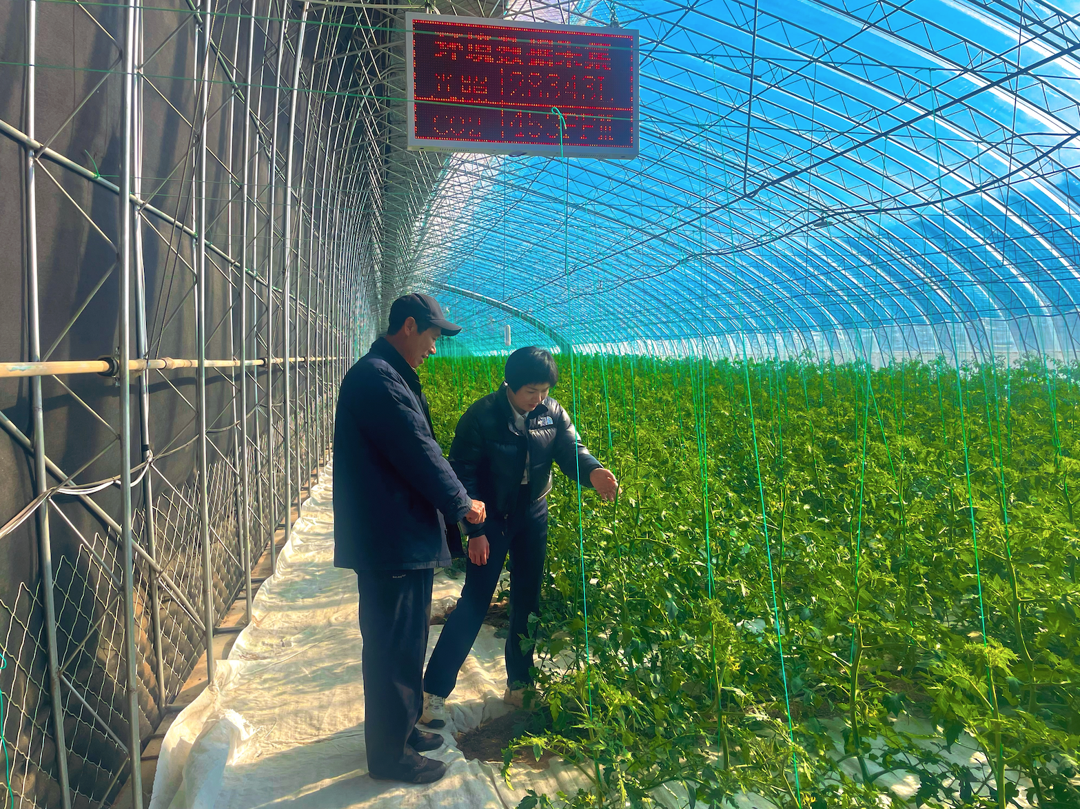 截屏2024-11-20 下午2.37.04.png