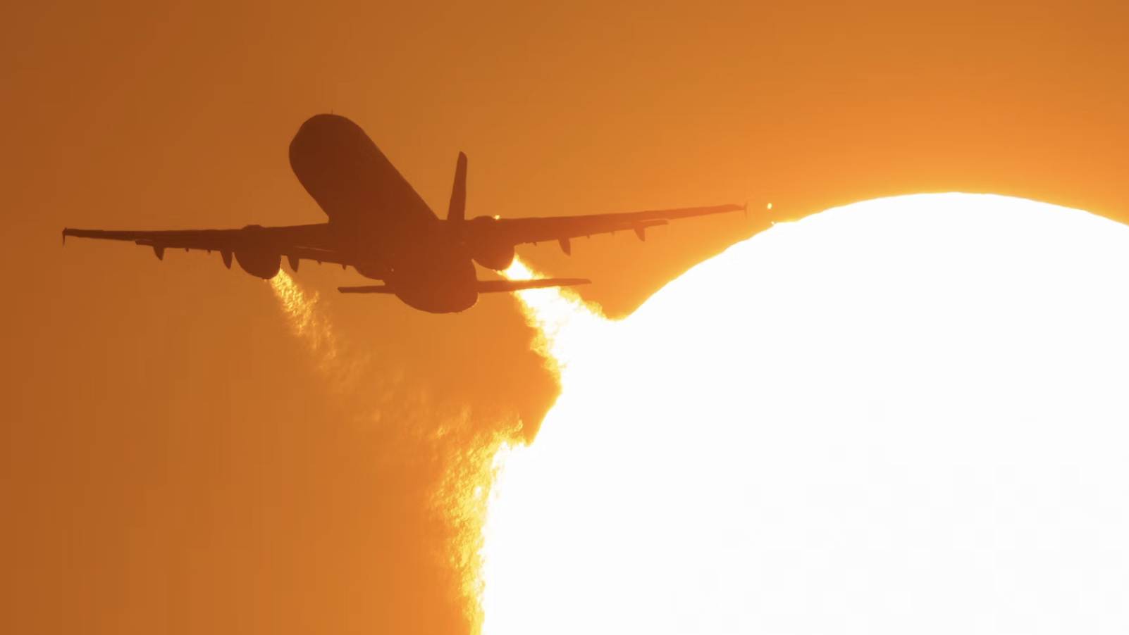 截屏2025-03-11 15.39.27.png