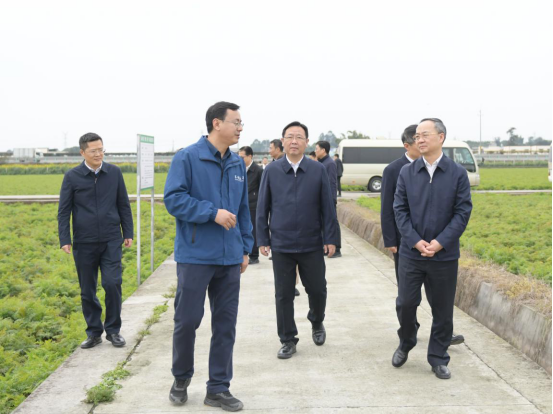 1742786392452527.png 12021113.png