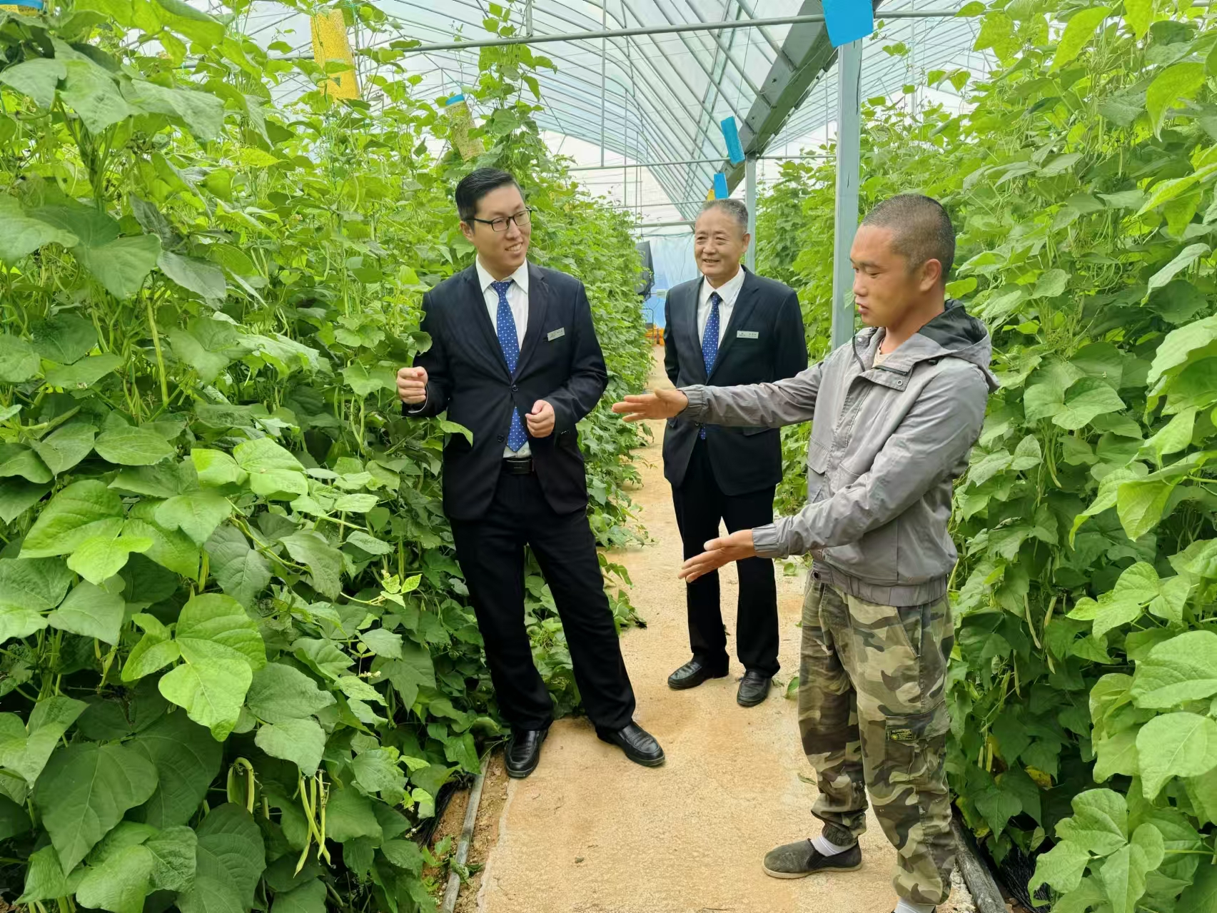 客户经理深入蔬菜大棚调研菜农金融需求.jpg