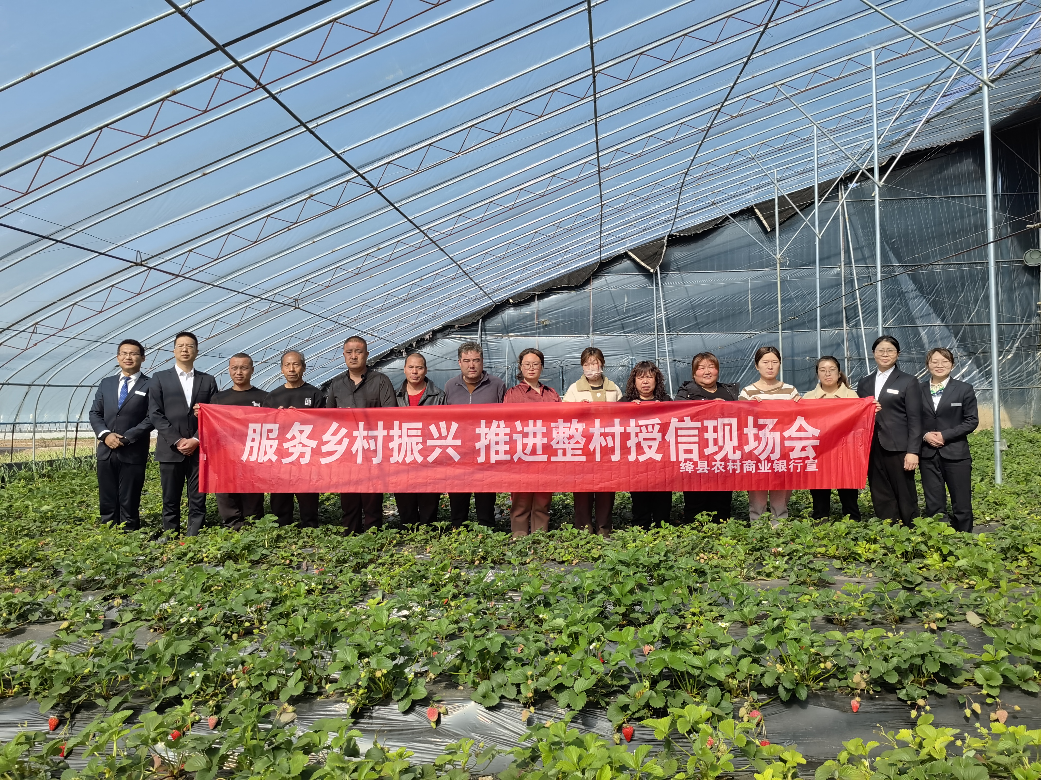 授信会开进草莓大棚.jpg