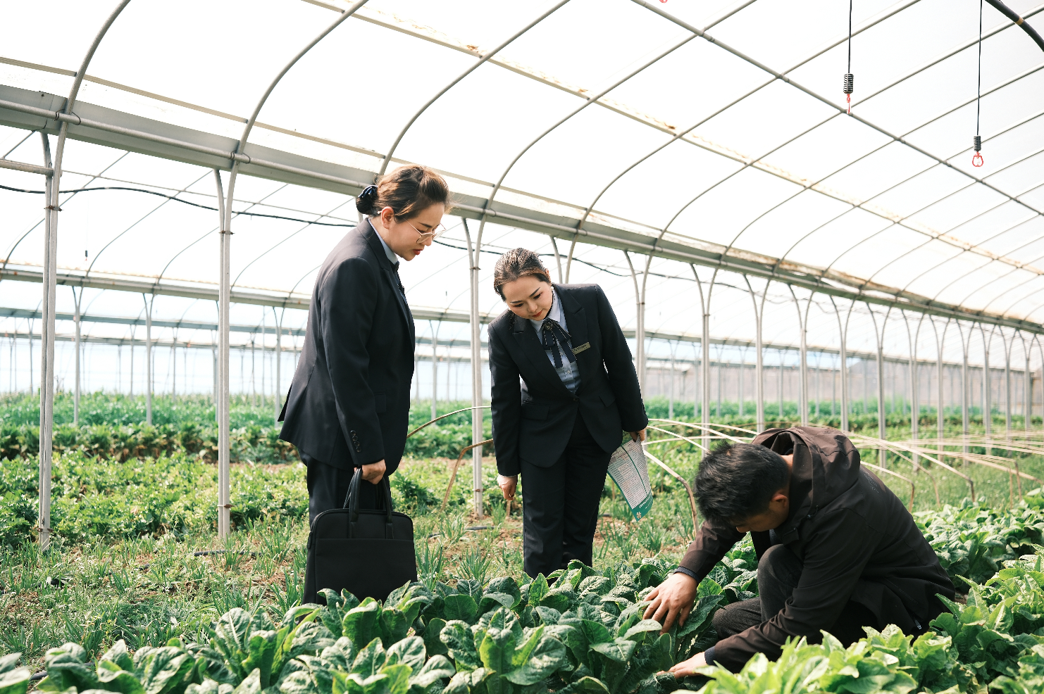 1742790516270236.png 截屏2025-03-24 12.26.25.png