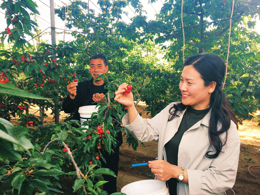 1746711227494303.jpg WechatIMG1440.jpg