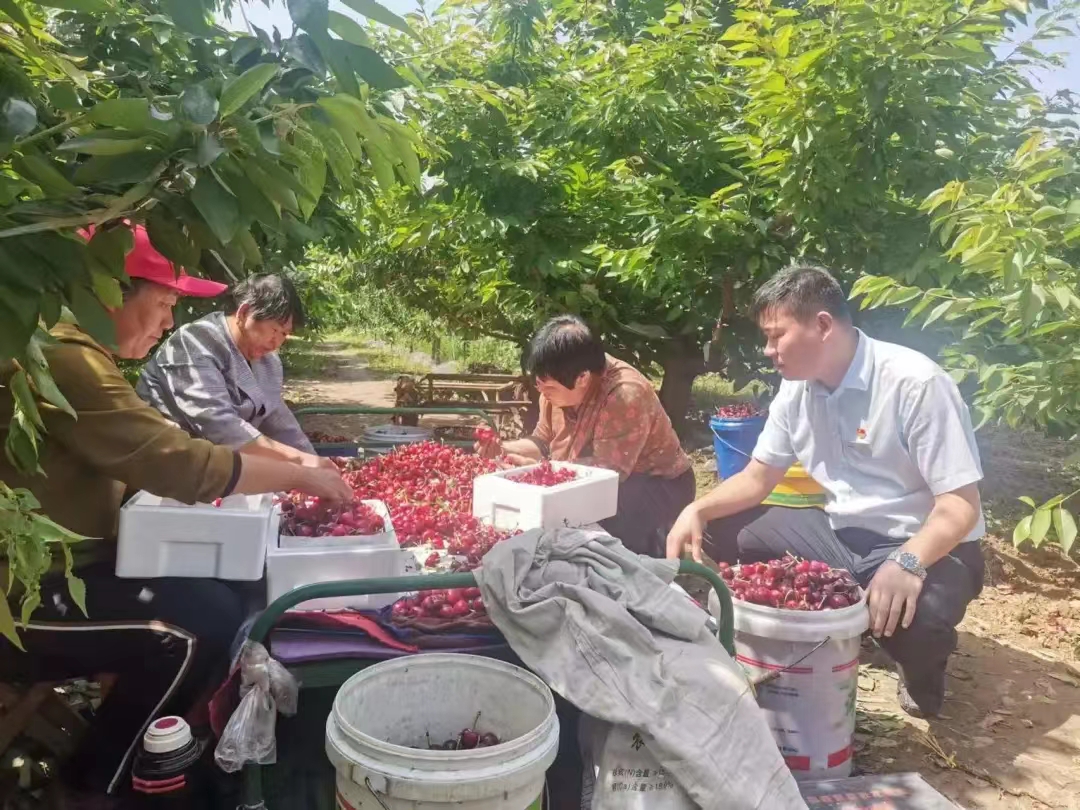 1746711320749146.jpg WechatIMG1439.jpg