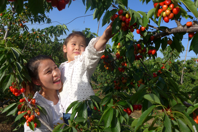 1746711357899294.jpg WechatIMG1437.jpg