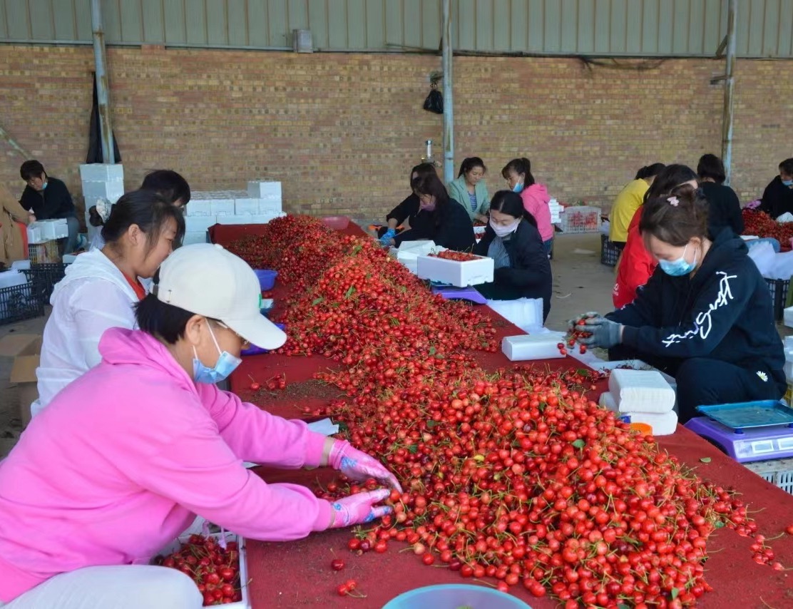 1746711384165955.jpg WechatIMG1436.jpg