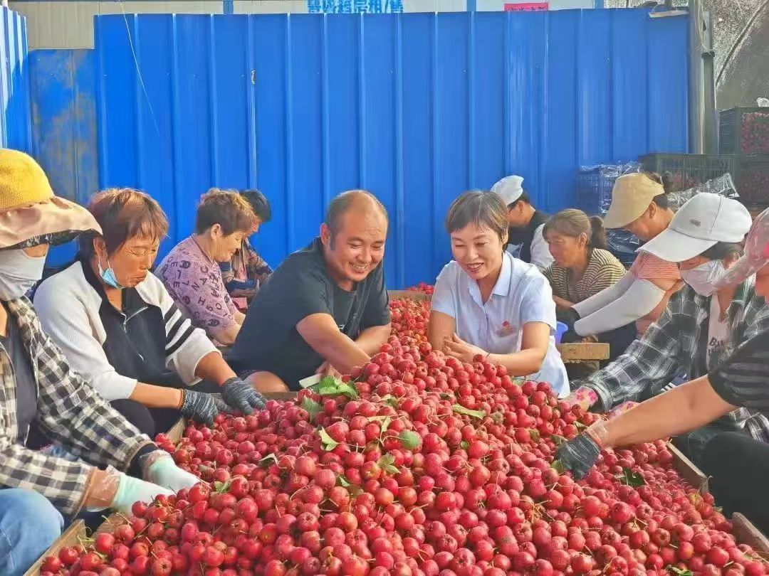 1747657704356663.jpg WechatIMG1605.jpg