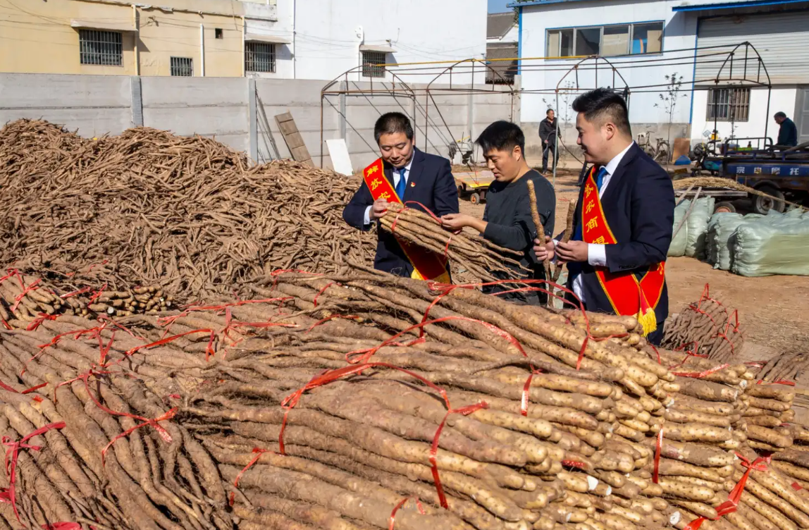 1747657776315521.jpg WechatIMG1606.jpg