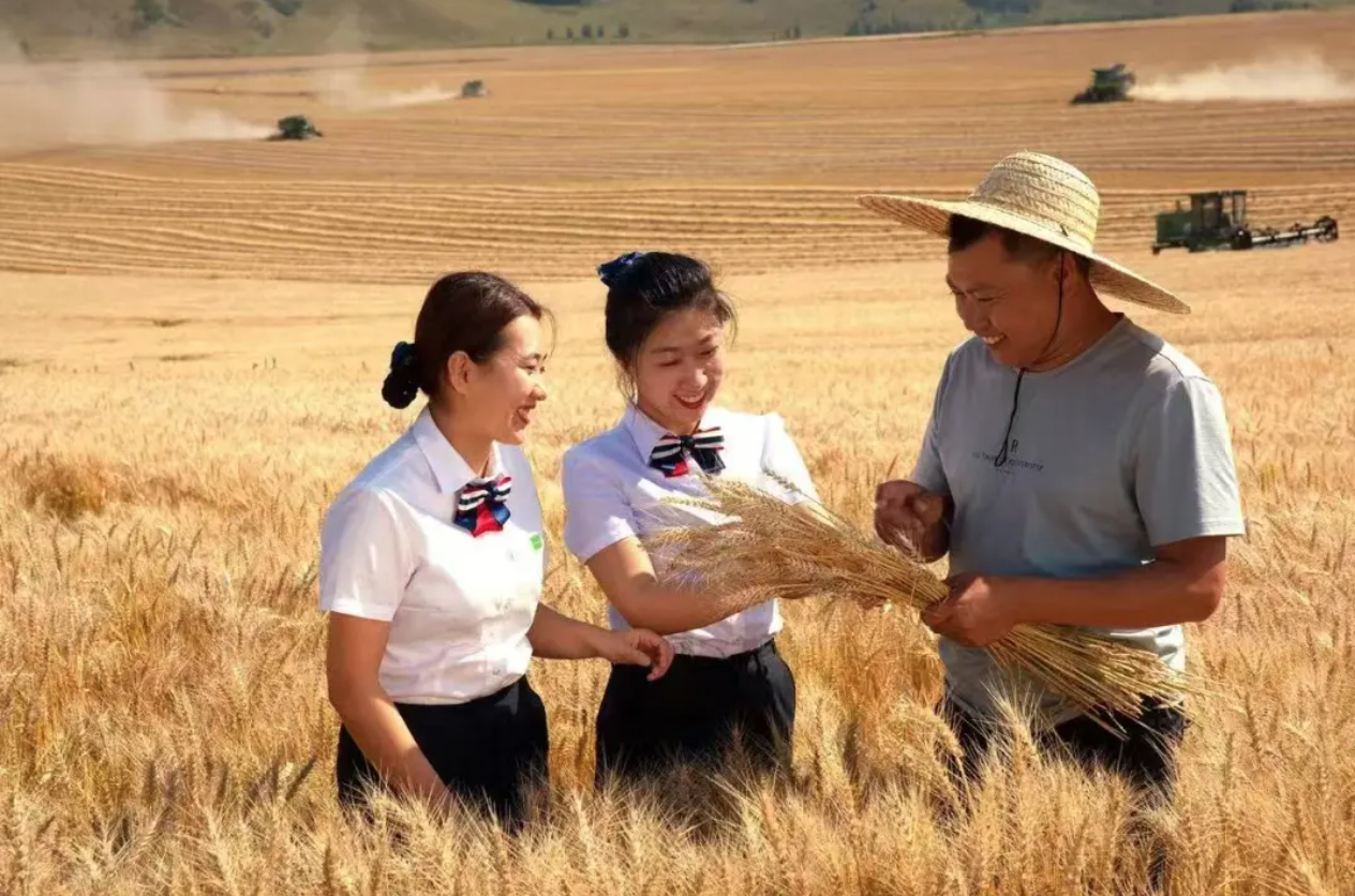 截屏2025-06-04 18.41.07.png