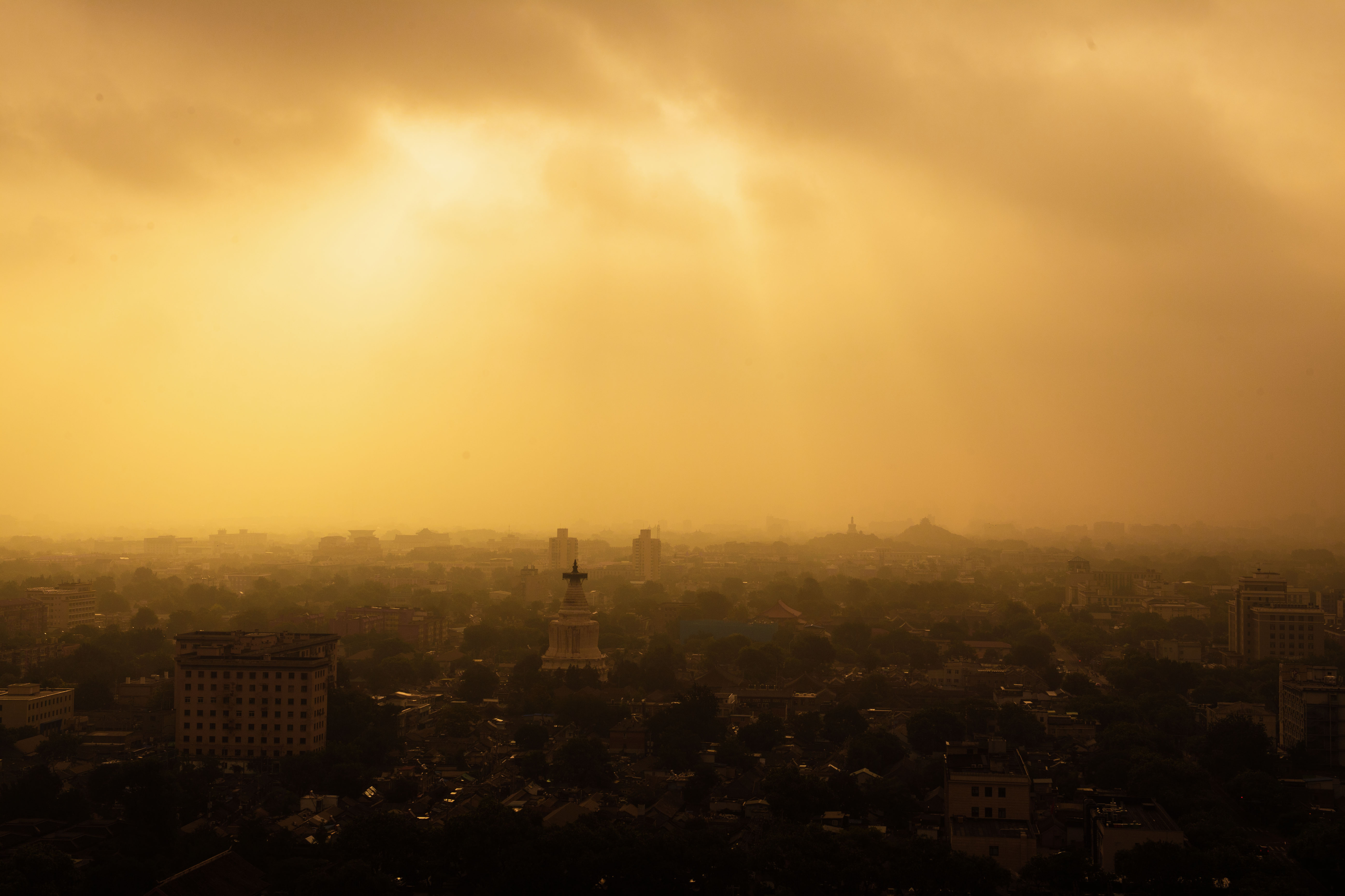 1753055252827504.jpg 1.jpg