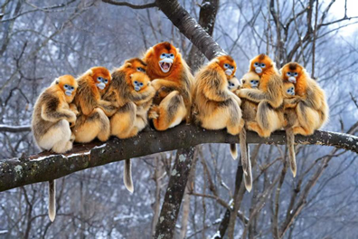 1758686603743510.png 20250924ecc12e795dcd4db59e5a9dd38a00925e_2025092494943f00586d43ac8d1fc1be3ee24187.png