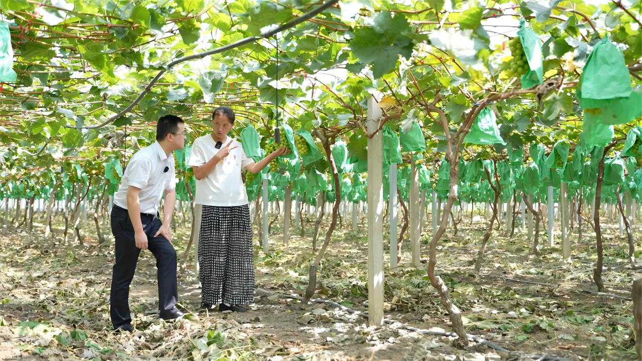 1760510236808340.png 图片1.png