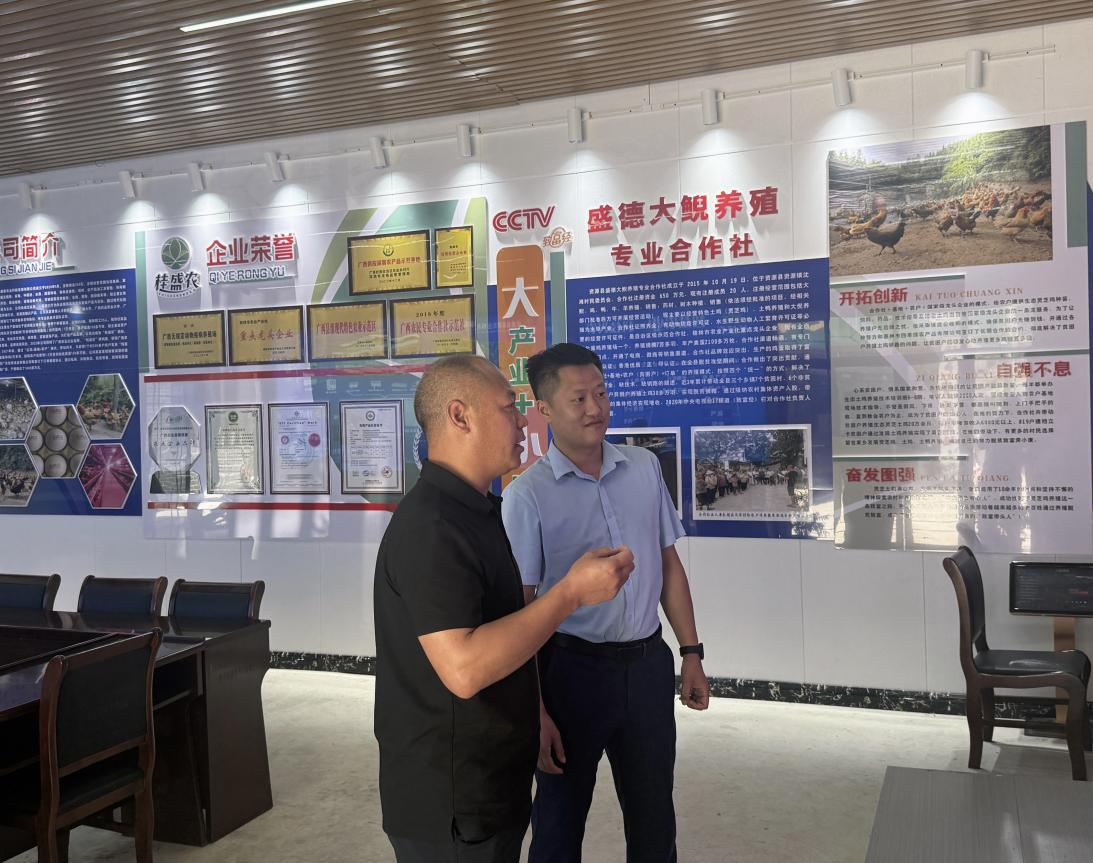 1765172956682056.png 图片6.png