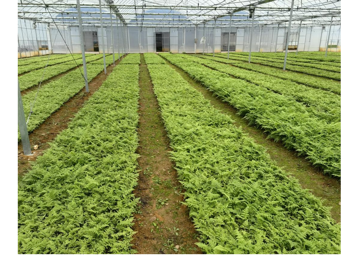 1768978050557952.png 图片1png.png