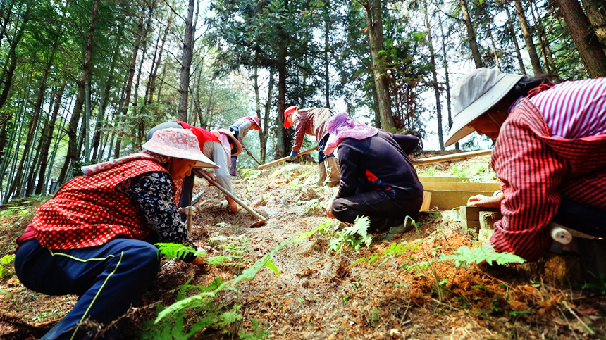 1768978088888348.png 图片2.png