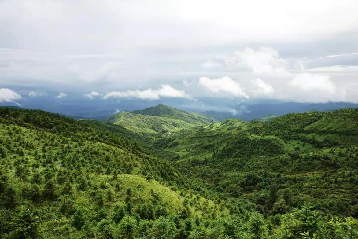 1768978177236621.png 图片4.png