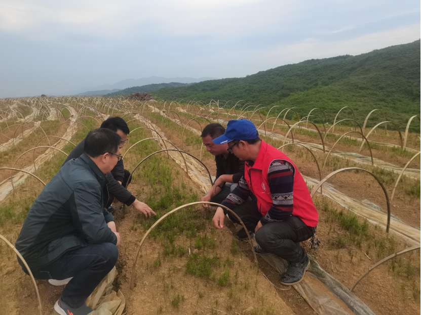 1768978221644084.png 图片5.png