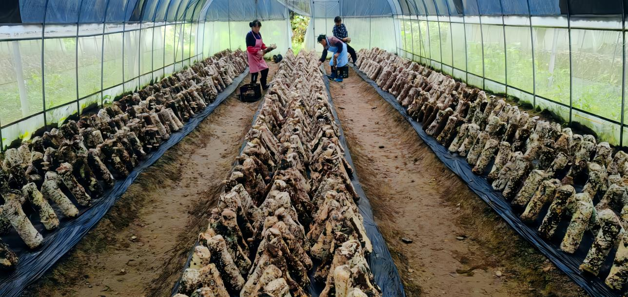 1768978309307092.png 图片7.png