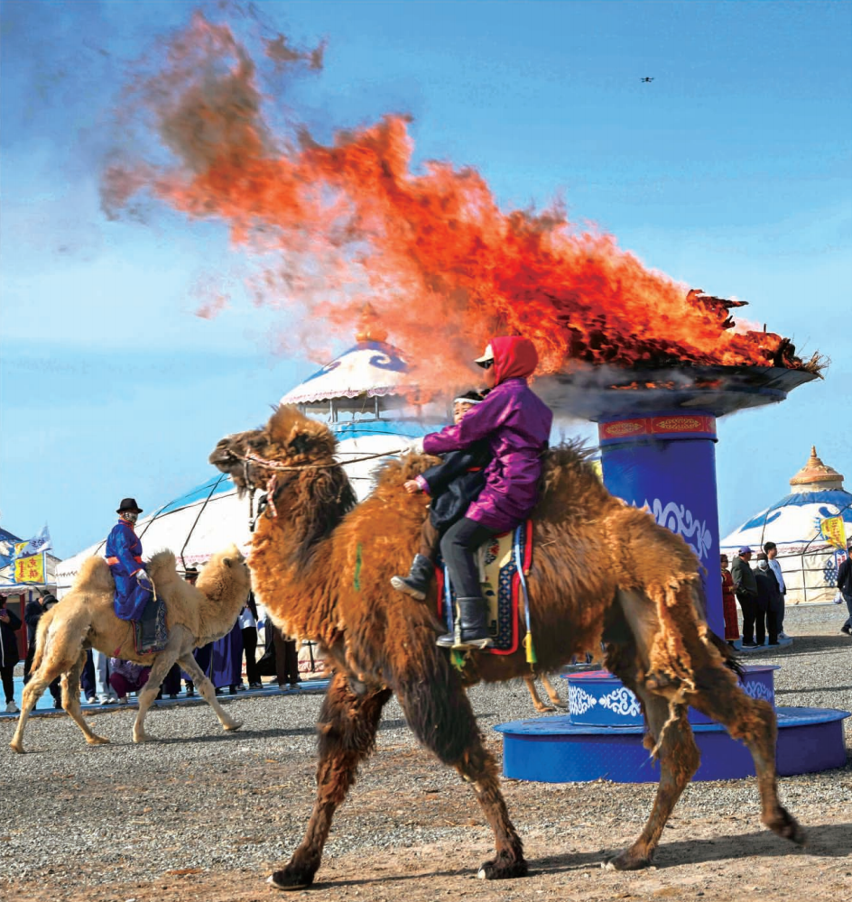 截屏2026-02-24 15.47.57.png