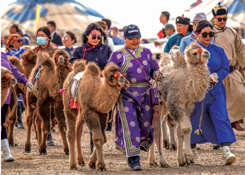 截屏2026-02-24 15.48.13.png