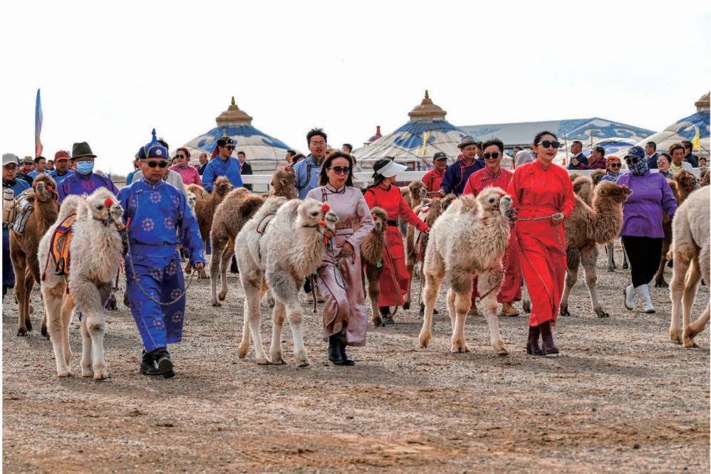 截屏2026-02-24 15.48.32.png