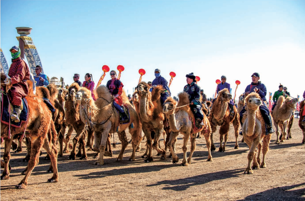 截屏2026-02-24 15.48.44.png