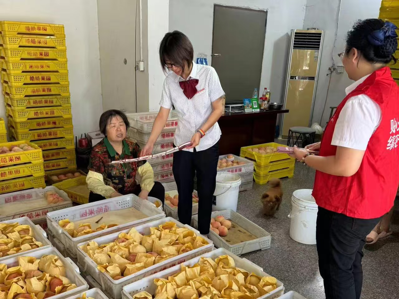 1772592742170610.png 图片1.png