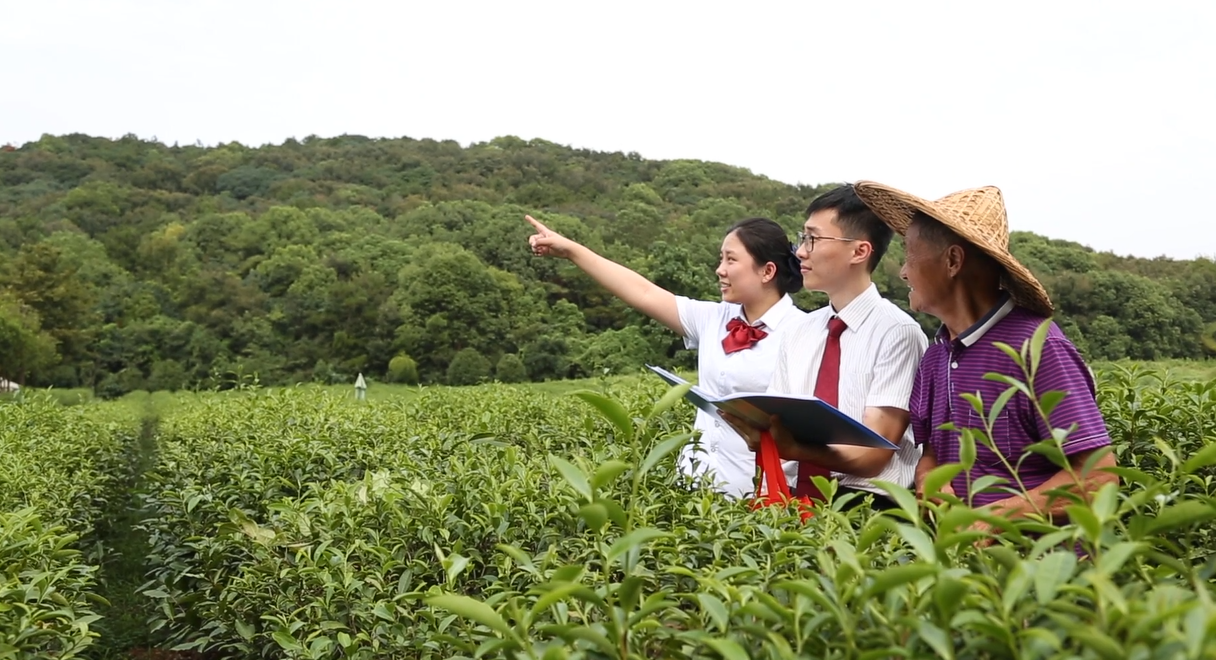 1772593066790188.png 图片3.png