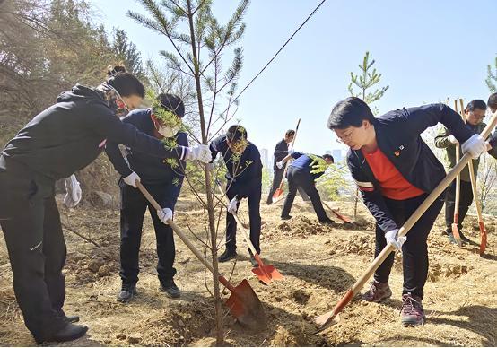 甘肃银行组织开展绿色公益植树活动